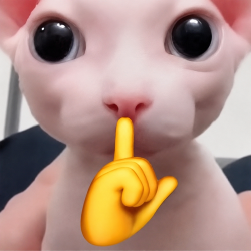 Silent Cat logo